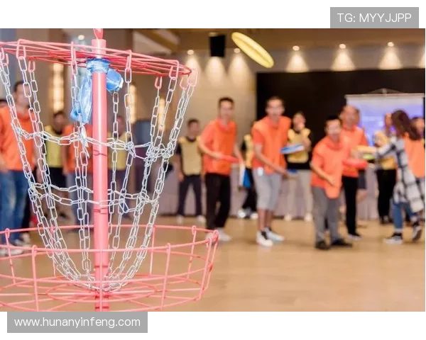 赵娜独家分享飞盘技巧与心得体会助你提升飞盘水平的秘诀与经验